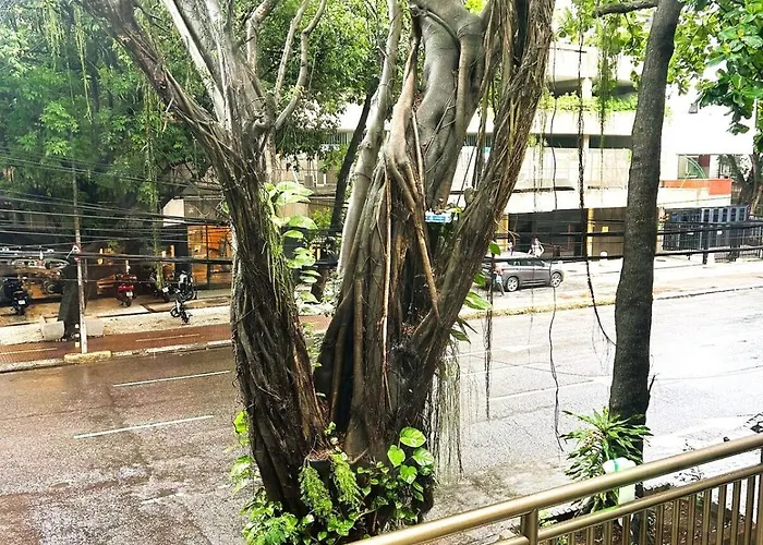 Apartamento Acolhedor No Leblon Rio de Janeiro
